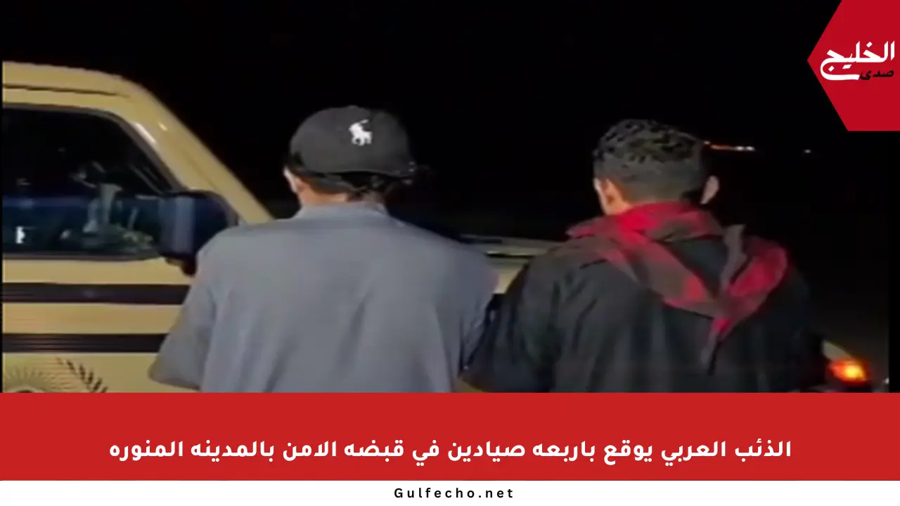 الذئب العربي يوقع بأربعة صيادين في قبضة الأمن بالمدينة المنورة